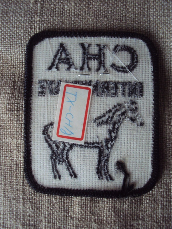 Vintage CHA Intermediate Certified Horsemanship A… - image 2