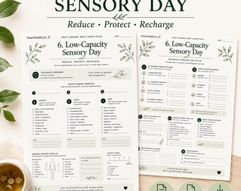 Low Capacity Sensory Day Planner, Adult Sensory Overload Reset Printable, A4 US Letter