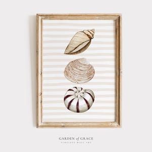 May include: A framed print with a white and beige striped background featuring three seashells. The seashells are a brown and white spiral shell, a brown clam shell, and a brown and white cone shell. The print is titled "GARDEN of GRACE TIMELESS WALL ART".