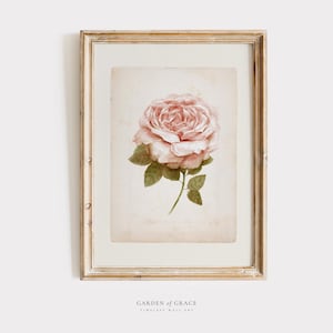 Vintage roze roos muurkunst voor meisjeskamer | Decoratie boerderij meisjeskamer | Lichtroze bloemenprint | Cottagecore-afdrukken | Bloemen wanddecoratie