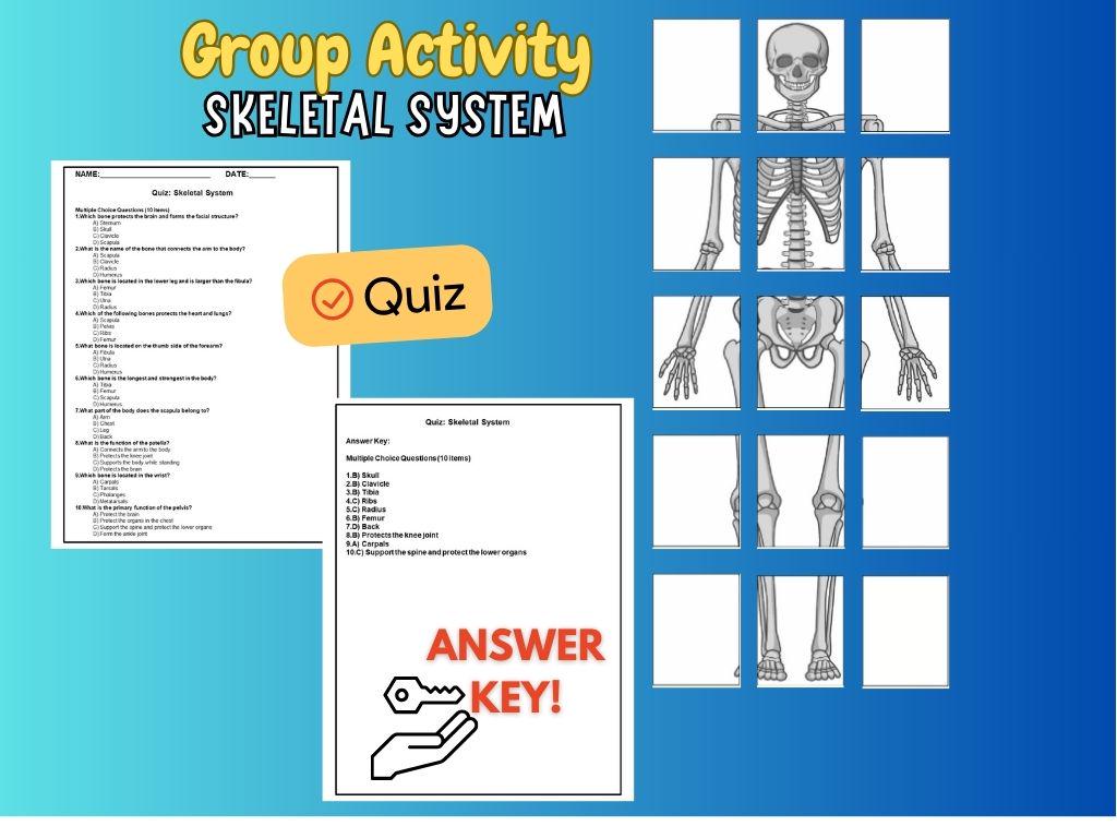 Skeletal System Big Illustration, Group Activity With Instructions ...