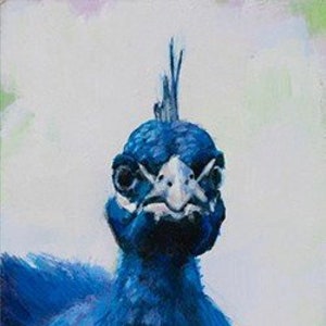 Indian Peafowl - Giclée Print of original Acrylic Painting by Spring Hofeldt