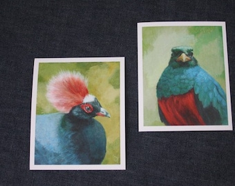 Set of 2 green/red bird prints - Giclée of original Acrylic Painting by Spring Hofeldt