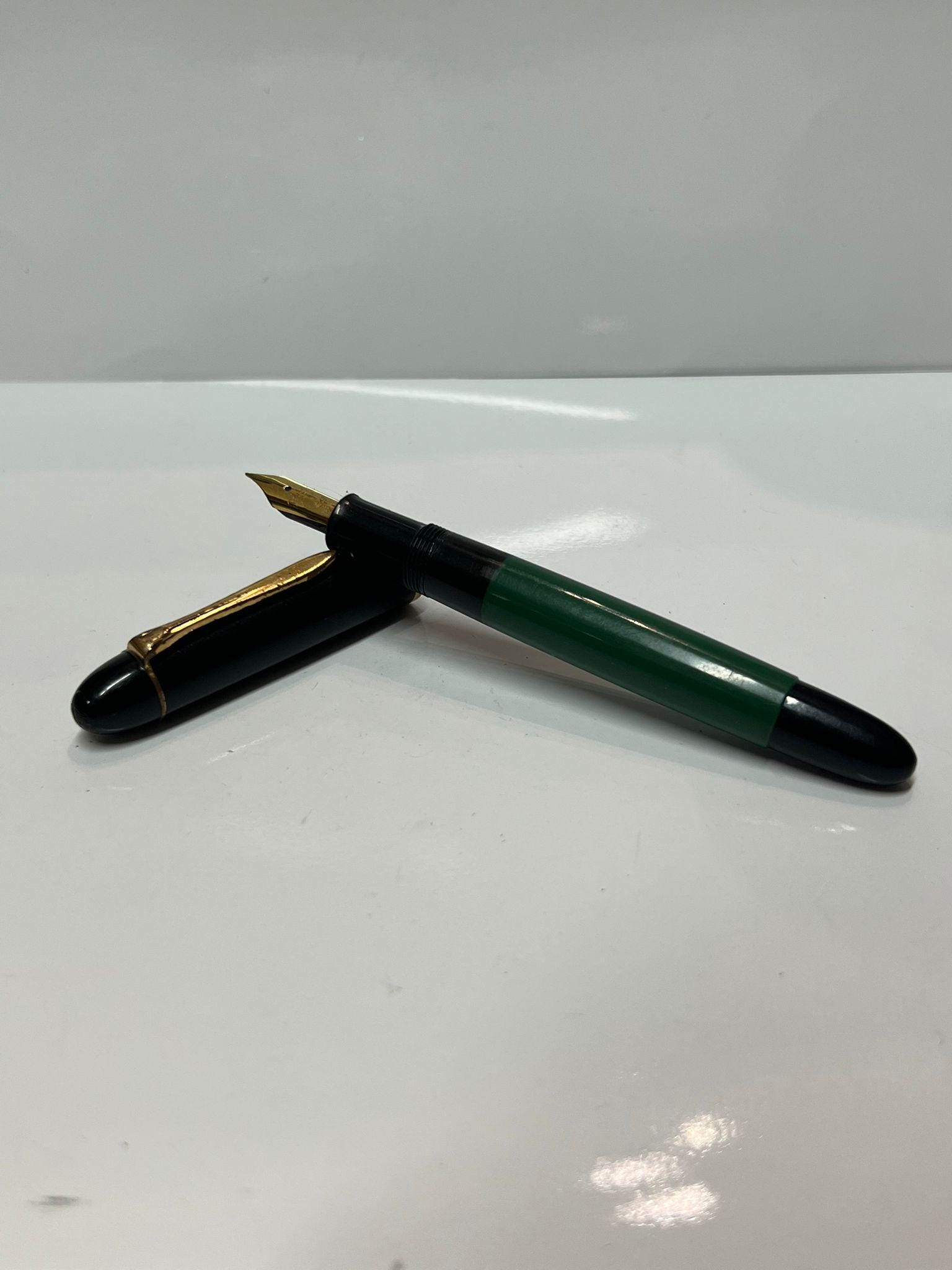 Pelikan Signum 万年筆 2本セット ケース付き