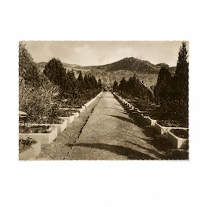 Antique Post Card Tsingtao - German heroes graves