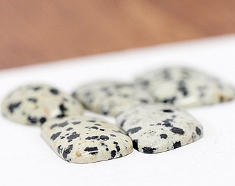Dalmatianite Cabochon Dalmatian Stone Oblong Cabochon Oval Cabochon Black and White Spots