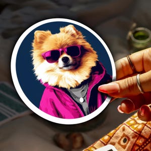 Divertente cane Pomerania | Adesivo Newwave fantastico