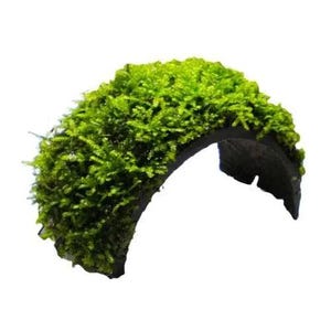 May include: A semi-circular arch covered in bright green moss. The moss is thick and textured, contrasting with the dark base material. The arch shape suggests it could be used as a decorative feature in a small garden or terrarium setting.