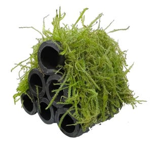 May include: An aquarium decoration comprising black, cylindrical tubes arranged in a cluster, enveloped by bright green moss. The moss provides a textured, natural look, suitable for aquatic environments.