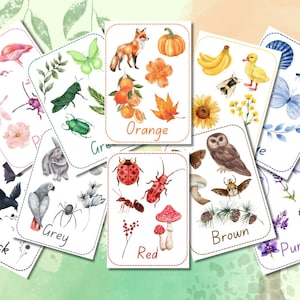 Flashcards couleur nature | Flashcards couleur | Vocabulaire | Montessori | Couleurs | Éducatif