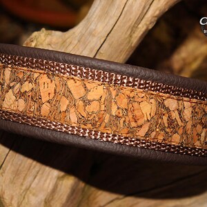 May include: A brown leather dog collar with a cork inlay and a brown stitched border. The collar has a gold metal buckle.
