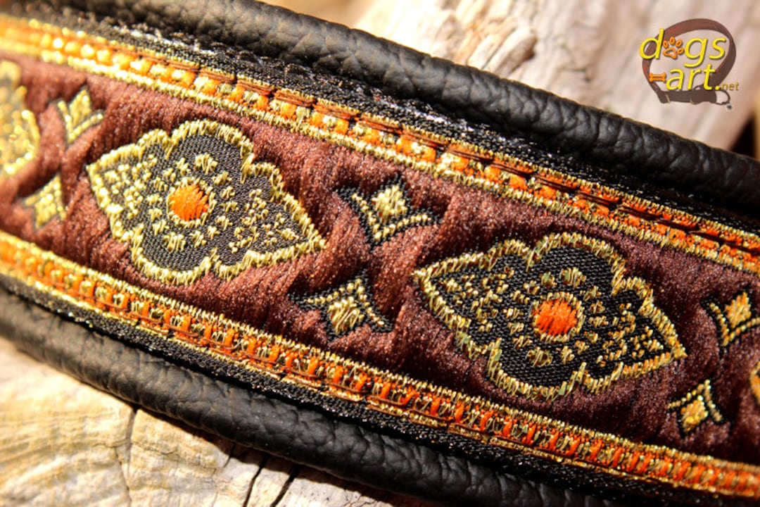 Biothane Dog Collar, Belt Buckle Collar, Leather Dog Collar, Biothane