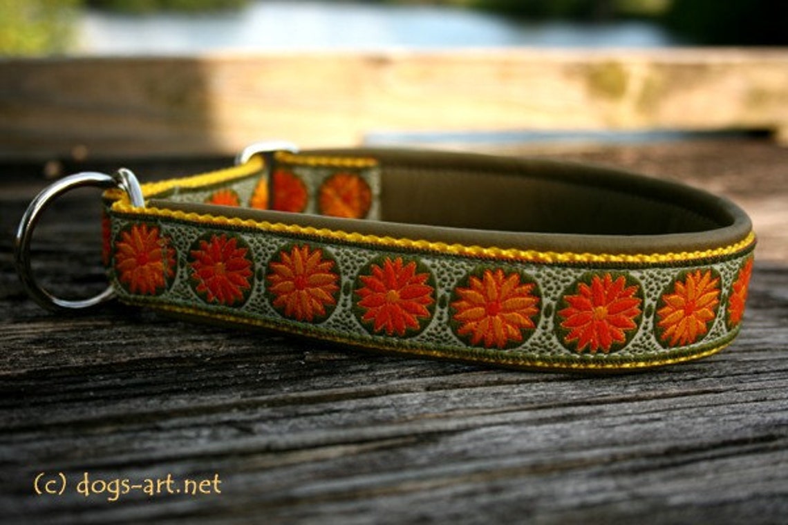 Martingale Leather Dog Collar Daisy Dot Limited Slip Design Etsy