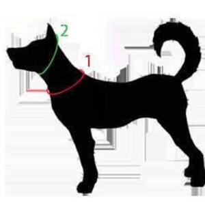 Puede incluir: Silueta negra de un perro con dos medidas marcadas en &eacute;l. La primera medida es alrededor del cuello y la segunda medida es alrededor de la cabeza.