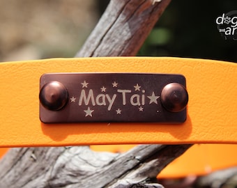 Waterproof Dog Collar with name plate, Biothane, Vegan, Dog ID Collar with engraved Nameplate