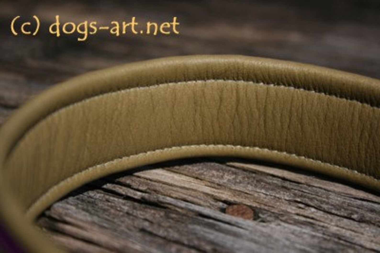 Martingale Leather Dog Collar Daisy Dot Limited Slip Design Etsy