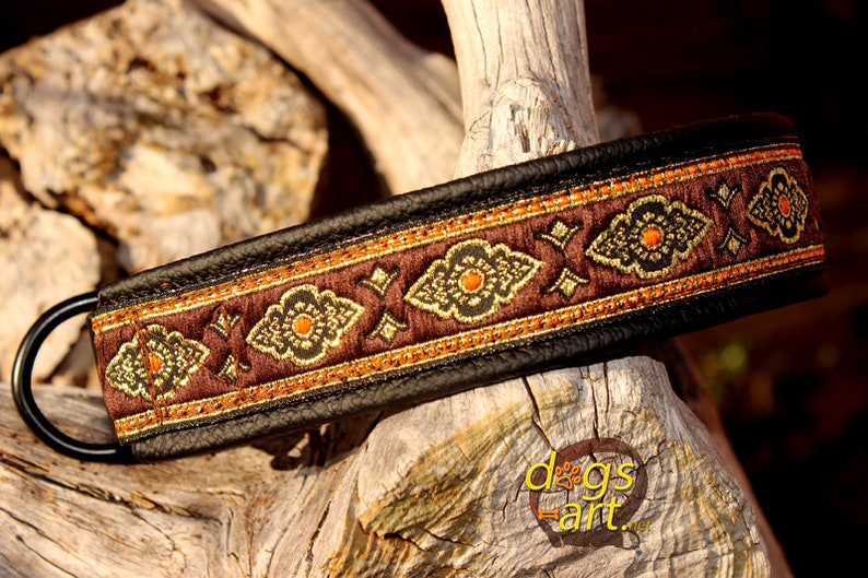 Biothane Dog Collar Belt Buckle Collar Leather Dog Collar Etsy