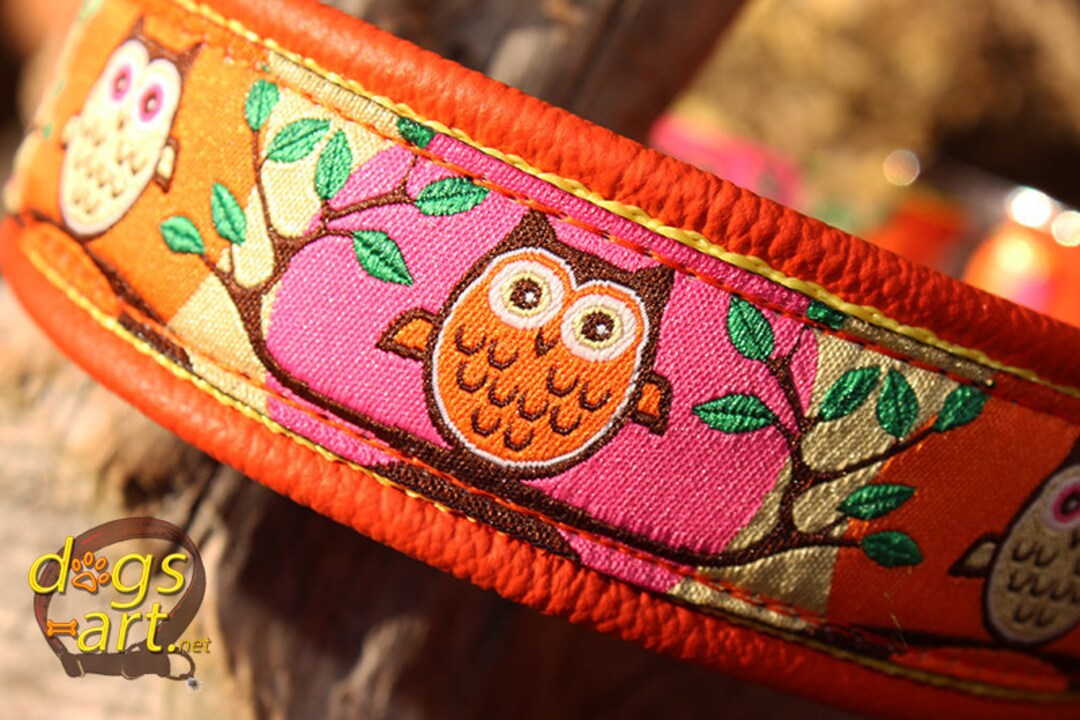 Owl Dog Collar Leather, Cute Design, Hoot Collars, Martingale Limited