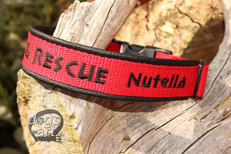 Search and Rescue Dog Collar named dog collar personalized Etsy