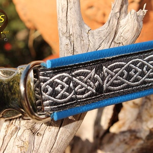 May include: Black dog collar with a silver Celtic knot design and a blue edging. The collar has a silver buckle and a silver D-ring.