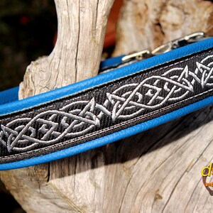 May include: A blue leather dog collar with a black and silver braided design. The collar has a silver metal buckle and is decorated with a Celtic knot pattern.