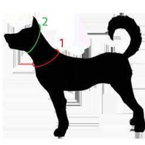 May include: Black silhouette of a dog with two measurements marked on it. The first measurement is around the neck and the second measurement is around the head.
