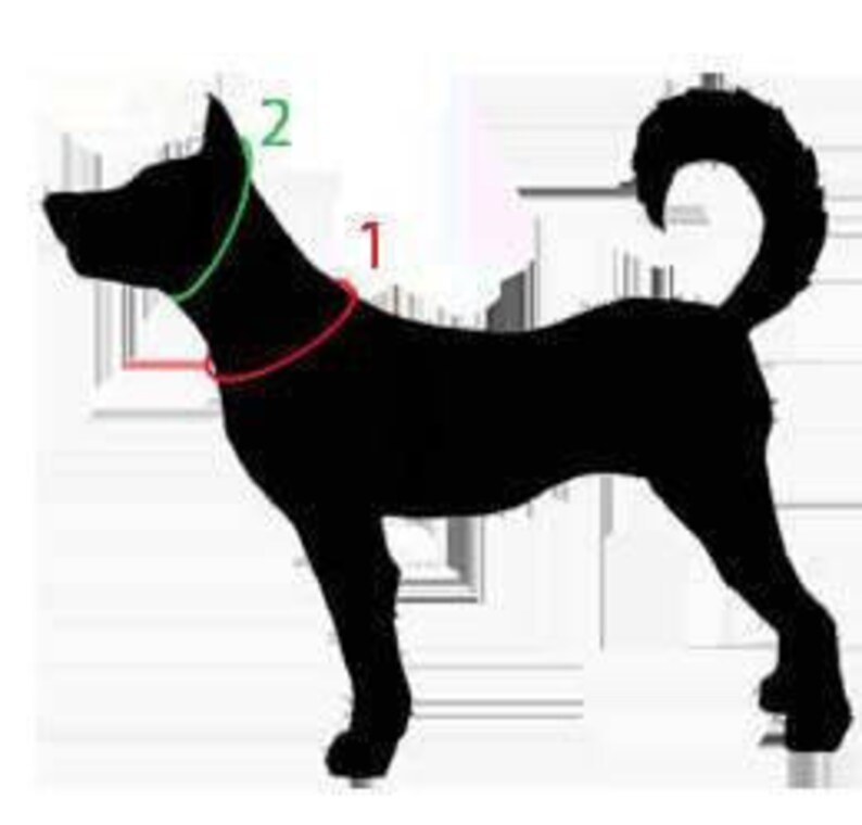 May include: Black silhouette of a dog with two measurements marked on it. The first measurement is around the neck and the second measurement is around the head.