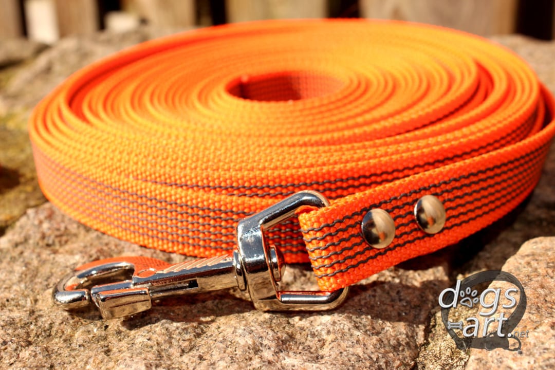 Long Training Leash, Schutzhund, Tracking, IGP, SAR, Working Sport Dog