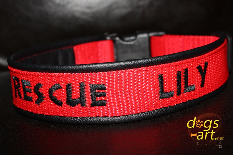 Search and Rescue Dog Collar named dog collar personalized Etsy