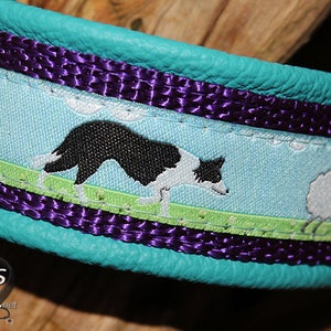 Border Collie Dog Collar, Leather, Martingale Limited Slip, Design your own