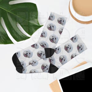 Pet Lover Gift Maltese Dog Socks Cute Animal Print Crew Socks for Women & Men Cotton Comfortable Fun Socks