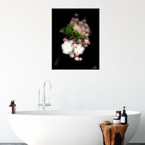Fiori di gomma mela nana in stampa fotografica verticale incorniciata. Fiori rosa e bianchi si dispiegano su uno sfondo nero. Arte murale botanica. A3-A2