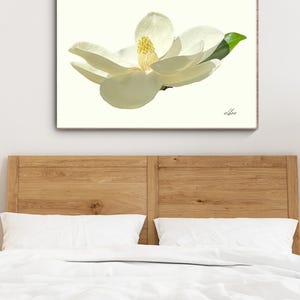 Southern magnolia in full bloom. Digital download. Wall art. Botanical prints. Flower photography. Horizontal/landscape. A4-A2. Posters.
