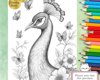 Gedetailleerde kleurplaat pauw | Prachtig vogelontwerp | Kleurplaten voor volwassenen met stressverlichting | Afdrukbare pdf