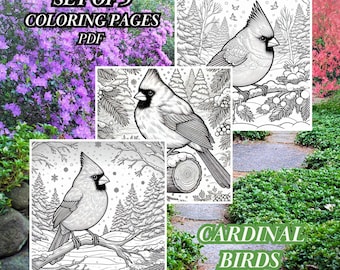 Kardinaalvogel Kleurplaten | Winterkleuring | Vogelsoorten | Stressverlichting volwassen tieners | Direct downloaden