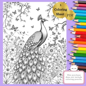 Detailed Peacock Coloring Page | Beautiful Bird Design |Stress Relief Adult Coloring |Printable PDF