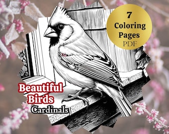 Gedetailleerde kleurplaten vogels | Kardinaalvogelillustratie | Kleurplaten voor volwassenen met stressverlichting | Directe download |Afdrukbare pdf