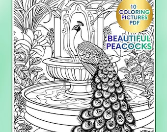 Gedetailleerd kleurboek pauw | Kleurplaten vogels | Stressverlichting | Pdf-download