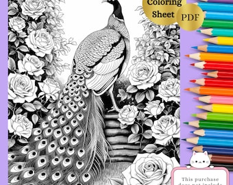 Prachtige kleurplaat pauw |  Exotisch vogelontwerp | Stressverlichting volwassen kleuren | Afdrukbare pdf
