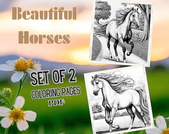 Kleurplaten paard| Prachtige hengstenpaarden| Perfect voor dierenliefhebbers | Direct downloaden | Afdrukbare pdf