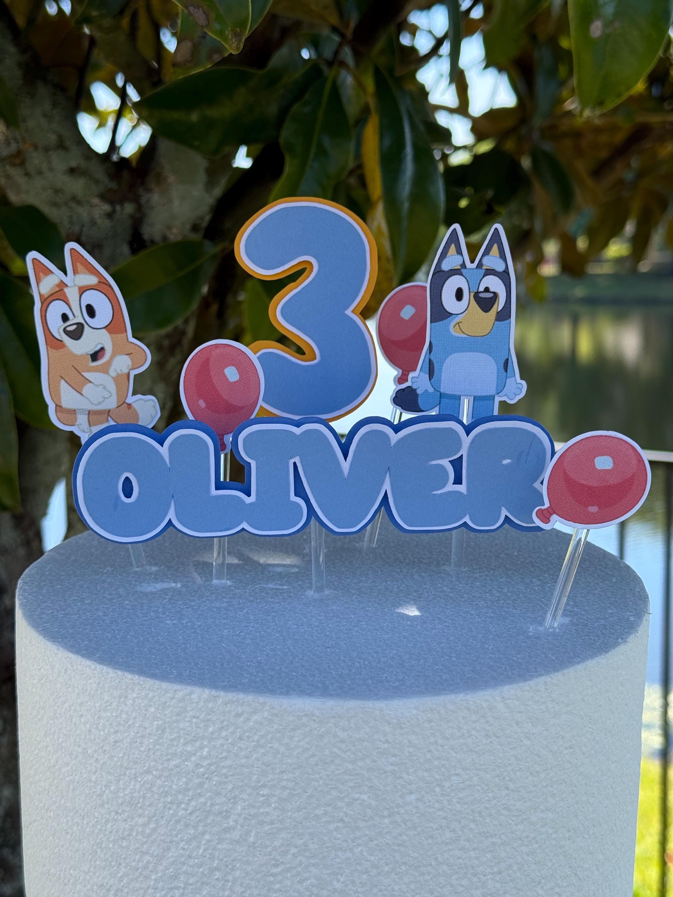 Custom Bluey Cake Topper