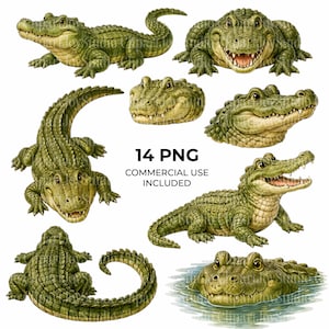Puede incluir: Nueve ilustraciones de caimanes verdes y amarillos en diferentes poses. Algunos están de lado, otros miran al espectador. También está presente el texto "14 PNG COMMERCIAL USE INCLUDED".