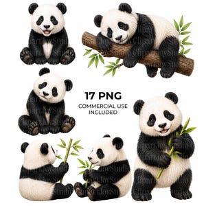 Op de afbeelding: Illustraties van panda's in verschillende poses, zwart en wit. Sommige panda's houden bamboe vast. De afbeelding bevat de tekst "17 PNG COMMERCIAL USE INCLUDED".