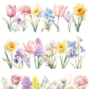 Aesthetic Spring Flowers clipart bundle, Floral Elements, Botanical Printable PNG images (digital download)