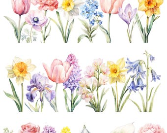 Aesthetic Spring Flowers clipart bundle, Floral Elements, Botanical Printable PNG images (digital download)