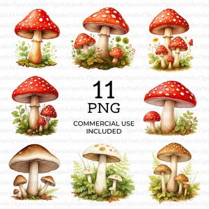 Mushrooms Clipart, Fly Agaric, Mushroom Printable Watercolor, PNG images, Mushrooms graphics, Paper Craft, Junk Journal | 070