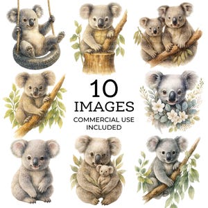Koalabjörn Clipart-paket, utskrivbar akvarell clipart, högkvalitativa PNG-bilder, digital nedladdning, papperspyssel, skräpjournaler