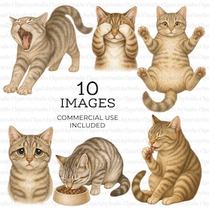 Pacote de clipart de gatos realistas, clipart de gatos em aquarela para impressão, gráfico PNG, download digital, artesanato em papel, diário de lixo | 082