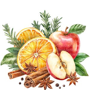 May include: Watercolor illustration of a festive arrangement featuring sliced oranges, red apples, cinnamon sticks, star anise, and sprigs of rosemary. The image includes the text "10 PNG COMMERCIAL USE INCLUDED".