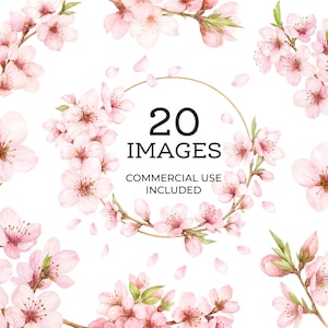 Kirschblüten Clipart, Sakura Blumenzweige, druckbare Aquarell Clipart, transparente PNGs, digitaler Download, Papiermodell, Zeitschrift 096